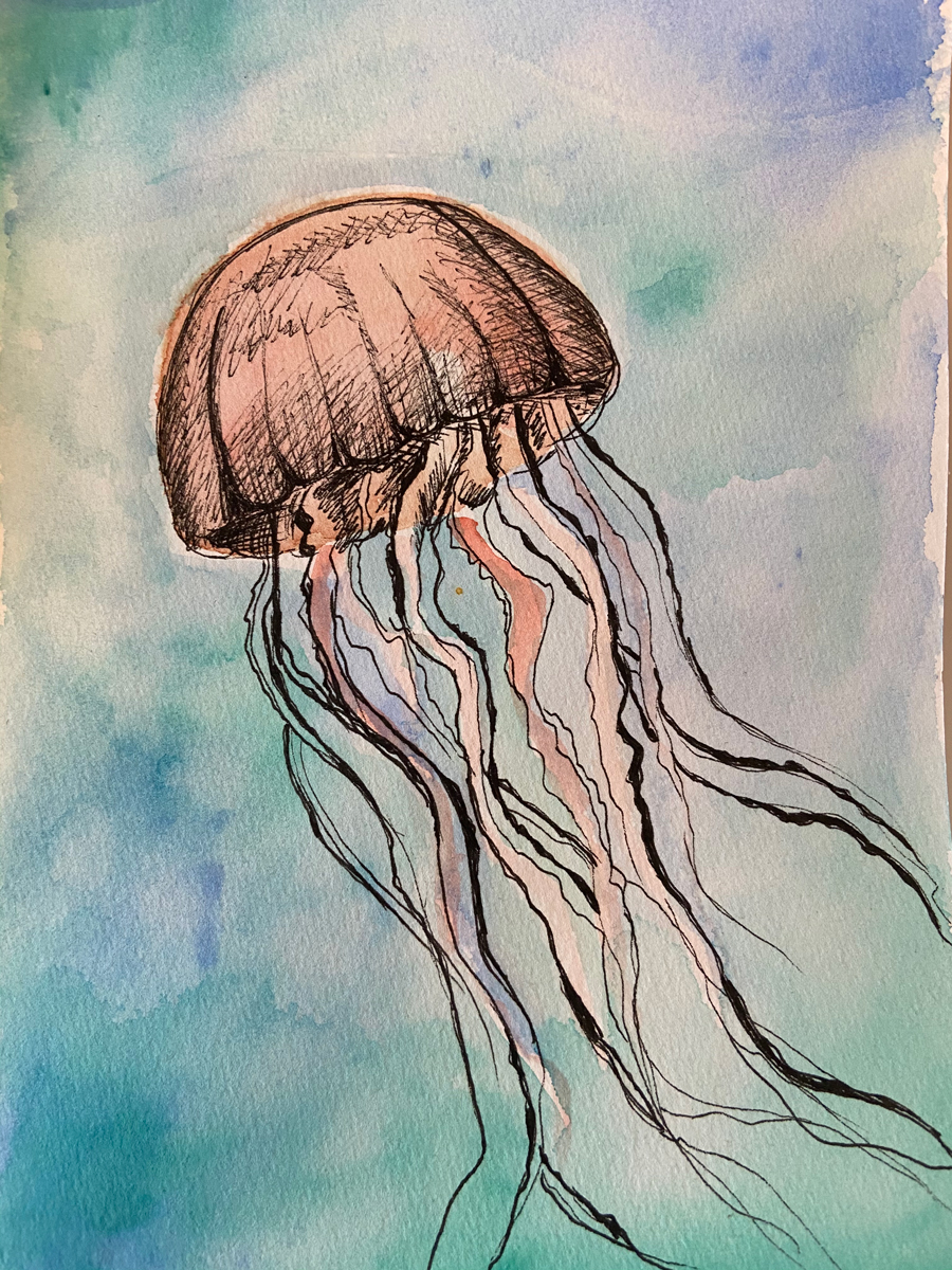 Anitatest 2020 08 24 2 59 42