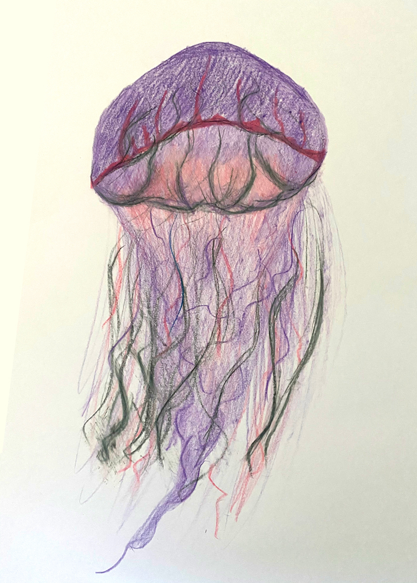 Josie 2020 08 24 11 07 07